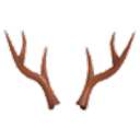 Reindeer Antlers