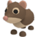 Shrew