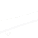White Skateboard