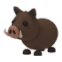 Wild Boar