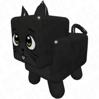 Black Cat