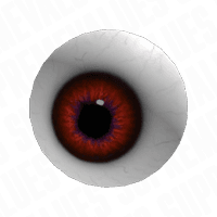 Eyeball