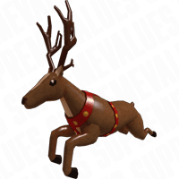 Reindeer